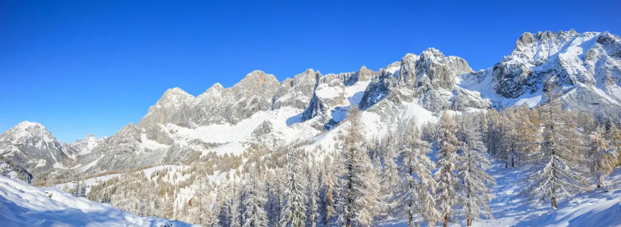 Schneebedeckte Berge unter einem klaren blauen Himmel. Im Hintergrund ragen zerklüftete Gipfel empor, während im Vordergrund ein Wald aus vereisten Bäumen eine ruhige, winterliche Szenerie bildet.